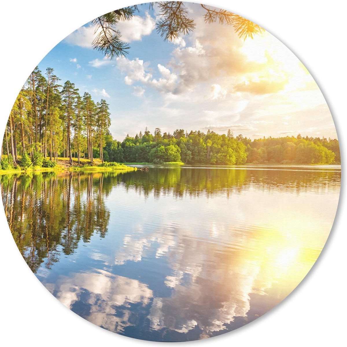 Muismat rond 50x50 cm - Mousepad Tropisch - Bomen - Water - Ronde muismatten
