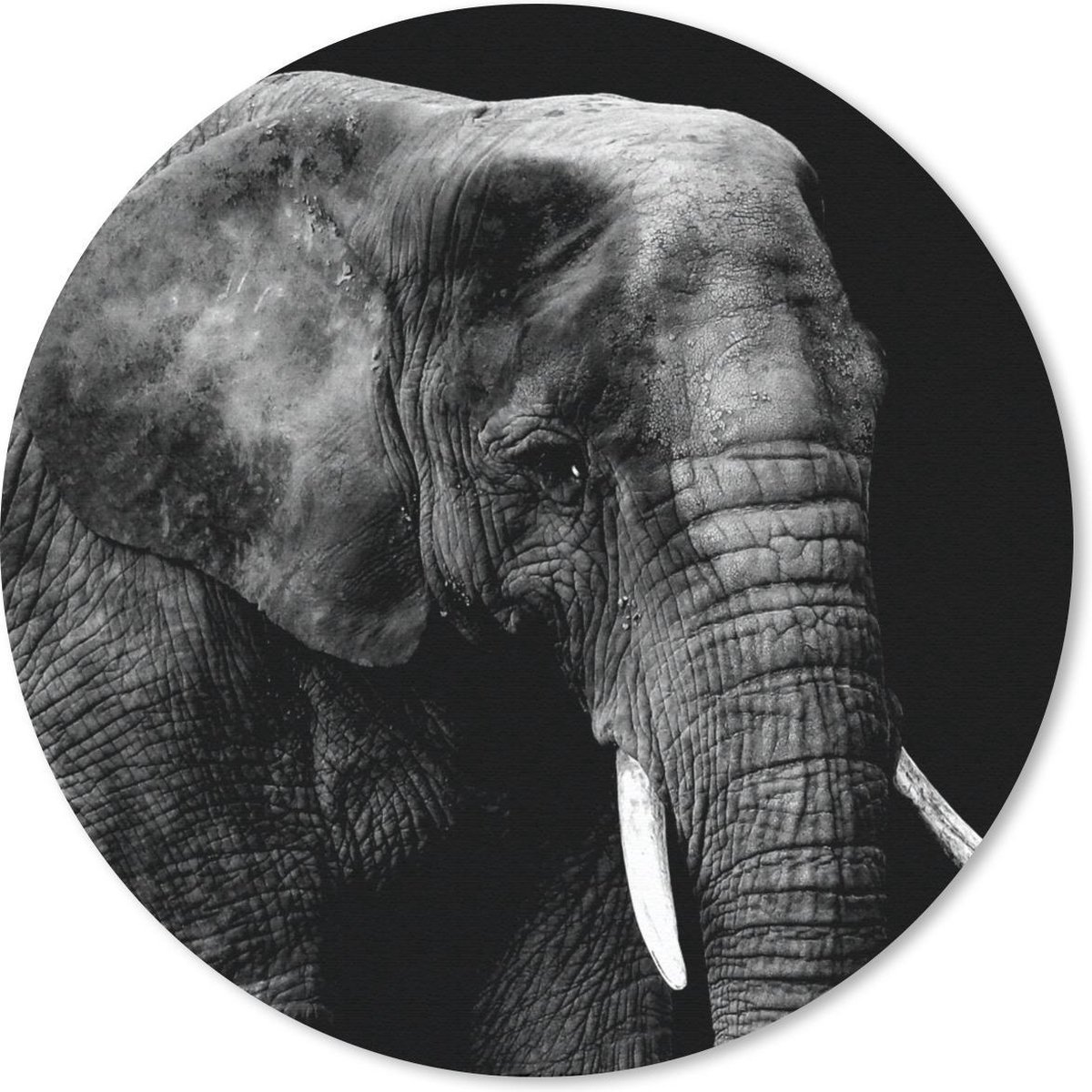 Muismat rond 40x40 cm - Mousepad Olifant - Dieren - Zwart - Wit - Ronde muismatten