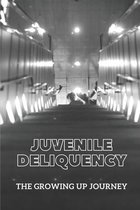 Juvenile Deliquency: The Growing Up Journey