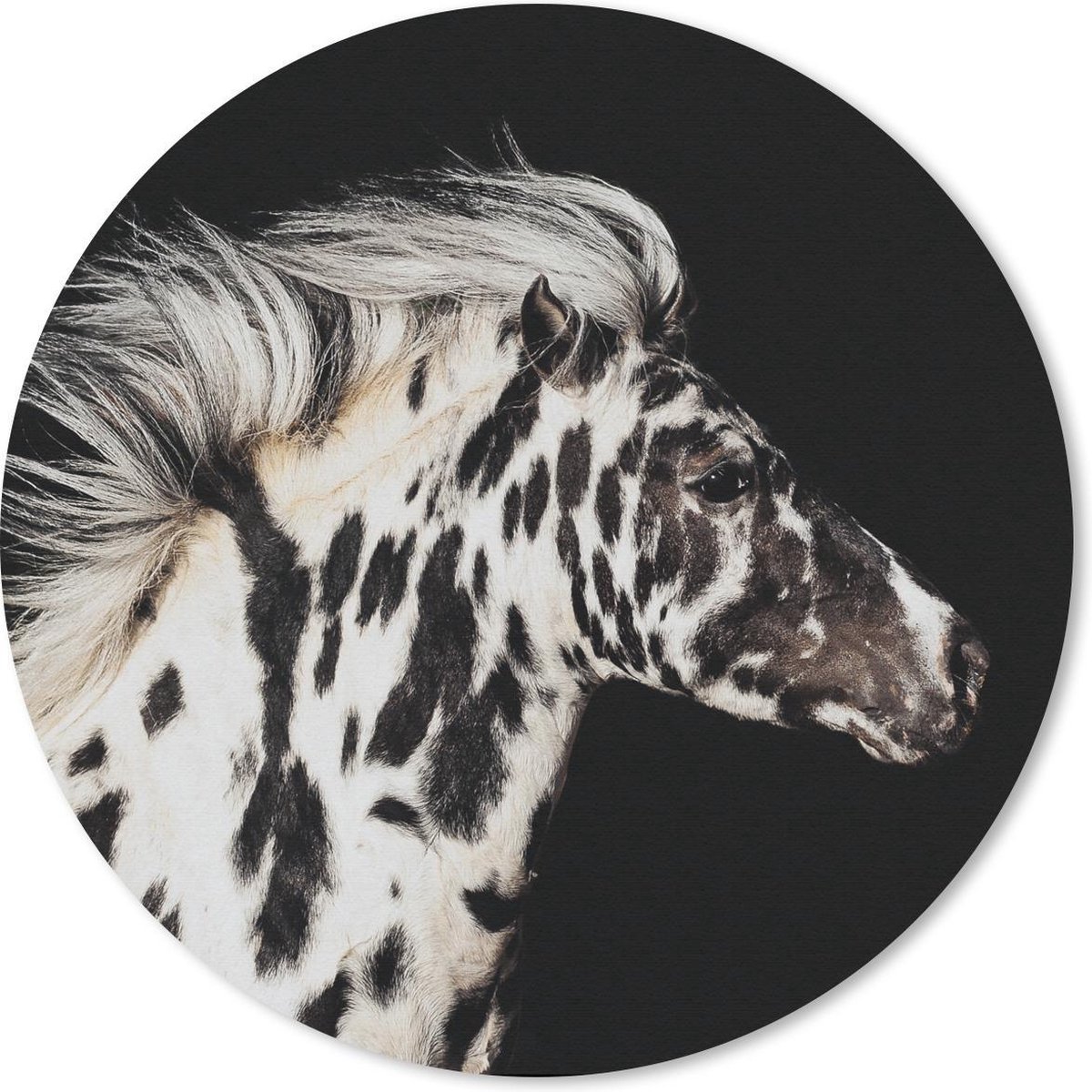 Muismat rond 40x40 cm - Mousepad Paard - Stippen - Dier - Ronde muismatten