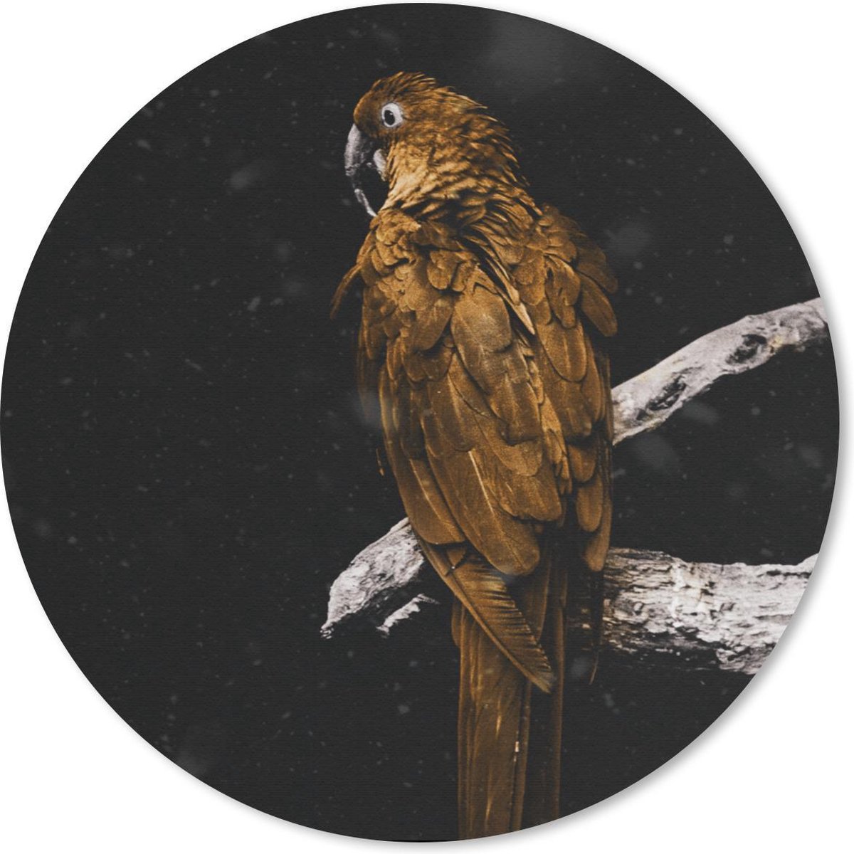 Muismat rond 50x50 cm - Mousepad Papegaai - Goud - Tak - Ronde muismatten