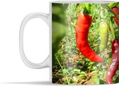Mok - Chilipepers aan een boom - 350 ml - Beker