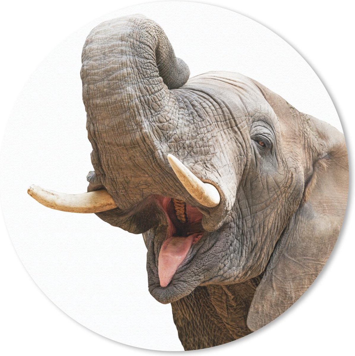 Muismat rond 40x40 cm - Mousepad Olifant - Tong - Wit - Ronde muismatten