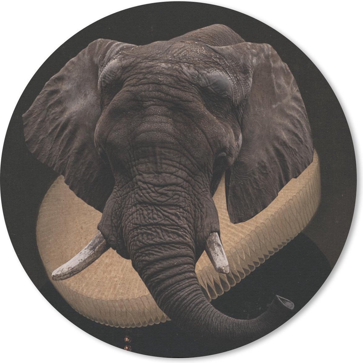 Muismat rond 50x50 cm - Mousepad Olifant - Portret - Kleding - Ronde muismatten