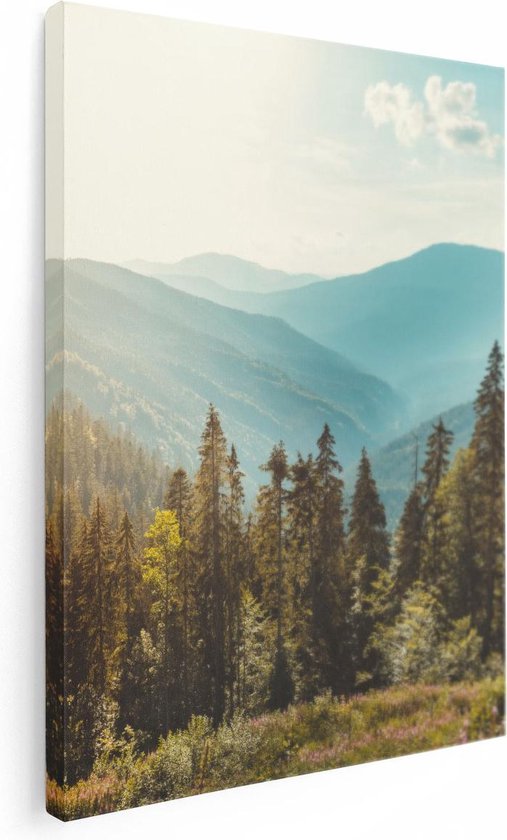 Artaza - Peinture Sur Toile - Forêt Avec Des Arbres Dans Les Hautes Montagnes - 60x80 - Photo Sur Toile - Impression Sur Toile
