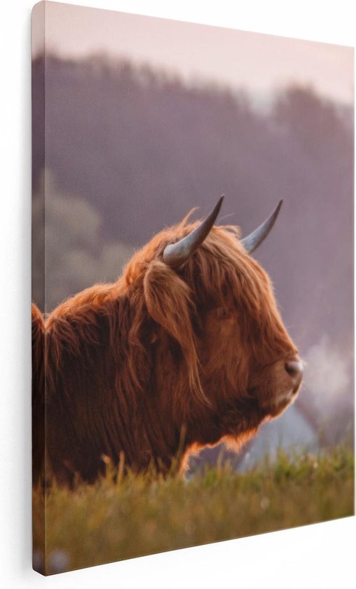 Artaza Canvas Schilderij Schotse Hooglander Koe Ligt In Het Gras - 30x40 - Klein - Foto Op Canvas - Canvas Print