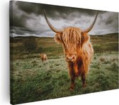 Artaza Canvas Schilderij Schotse Hooglanders In De Wei - Kleur - 120x80 - Groot - Foto Op Canvas - Wanddecoratie Woonkamer