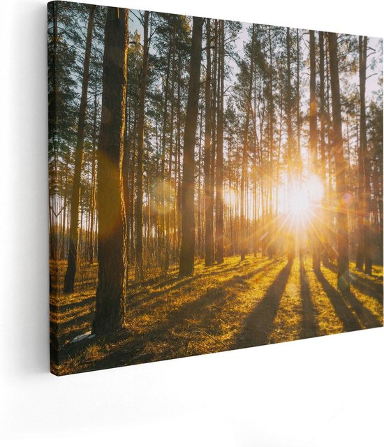 Artaza Canvas Schilderij Zonsopkomst In Het Bos Tussen De Bomen - 50x40 - Foto Op Canvas - Canvas Print