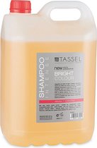 Shampoo Bright Colour Eurostil Argan Keratine (5 L)