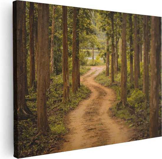 Artaza Canvas Schilderij Pad In Het Bos Met Bomen - 40x30 - Klein - Foto Op Canvas - Canvas Print