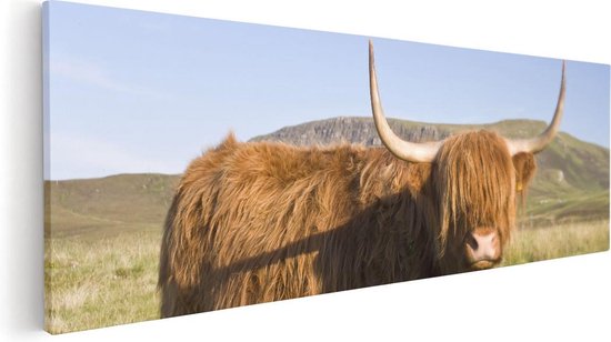 Artaza - Peinture sur toile - Scottish Highlander Cow - Couleur - 120 x 40 - Groot - Photo sur toile - Impression sur toile
