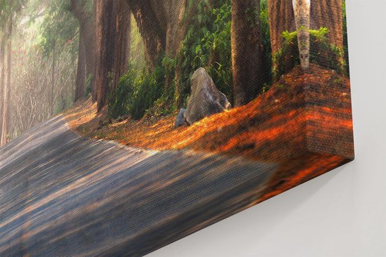 Artaza - Peinture sur toile - Route entourée d' Arbres - 90x60 - Photo sur toile - Impression sur toile