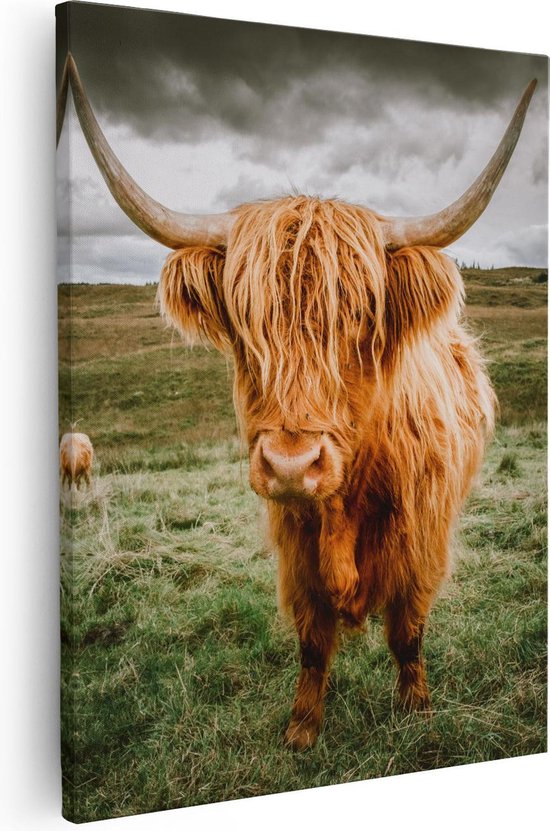 Artaza Canvas Schilderij Schotse Hooglanders In De Wei - Kleur - 40x50 - Foto Op Canvas - Canvas Print