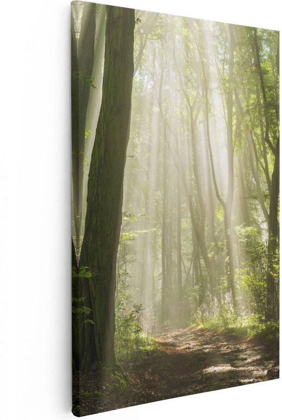 Artaza - Peinture Sur Toile - Forêt Avec Arbres Et Soleil - 20x30 - Klein - Photo Sur Toile - Impression Sur Toile