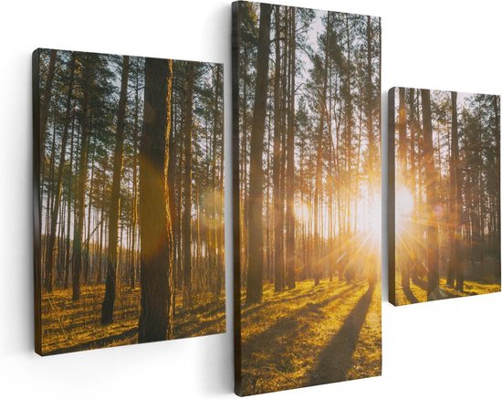 Artaza Canvas Schilderij Drieluik Zonsopkomst In Het Bos Tussen De Bomen - 90x60 - Foto Op Canvas - Canvas Print