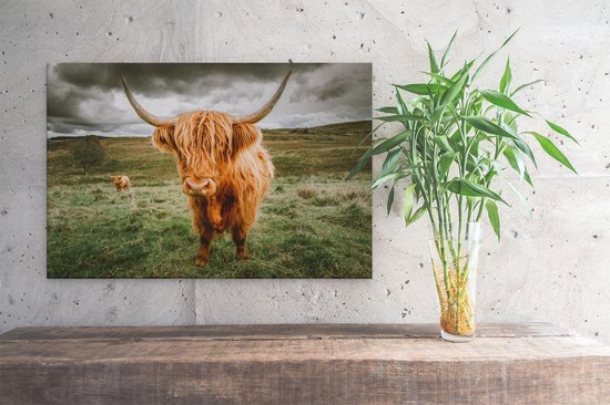 Artaza - Peinture sur toile - Highlanders écossais dans le pâturage - Couleur - 30x20 - Klein - Photo sur toile - Impression sur toile