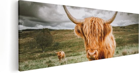 Artaza - Peinture sur toile - Highlanders écossais dans le pâturage - Couleur - 120x40 - Groot - Photo sur toile - Impression sur toile