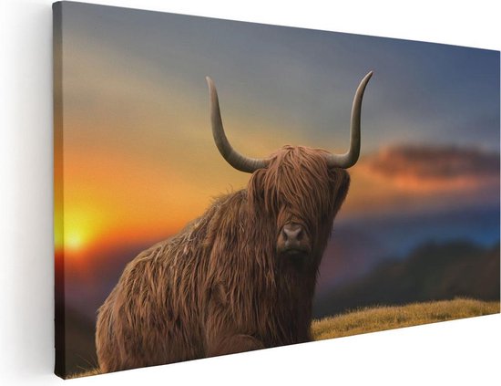Artaza Canvas Schilderij Schotse Hooglander Koe Op Een Heuvel - 100x50 - Groot - Foto Op Canvas - Canvas Print