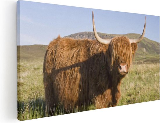 Artaza Peinture sur Toile Scottish Highlander Vache - Couleur - 100x50 - Groot - Tableau sur Toile - Impression sur Toile