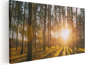 Artaza Canvas Schilderij Zonsopkomst In Het Bos Tussen De Bomen - 100x50 - Groot - Foto Op Canvas - Canvas Print
