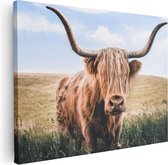 Artaza Canvas Schilderij Schotse Hooglander Koe In De Wei - 80x60 - Foto Op Canvas - Canvas Print