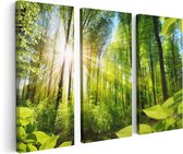 Artaza - Triptyque de peinture sur toile - Route entourée d' Arbres dans la forêt - 120x80 - Photo sur toile - Impression sur toile