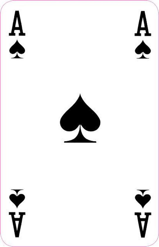 Professionele speelkaarten - BRIDGE size (GEEN poker) - LET OP: 2 spellen! - Nederlands product gedrukt met Bio inkt - Bingo-doe