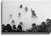 Walljar - Mistige Wolken Bos - Muurdecoratie - Canvas schilderij
