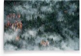 Walljar - Misty Green Forest - Muurdecoratie - Poster