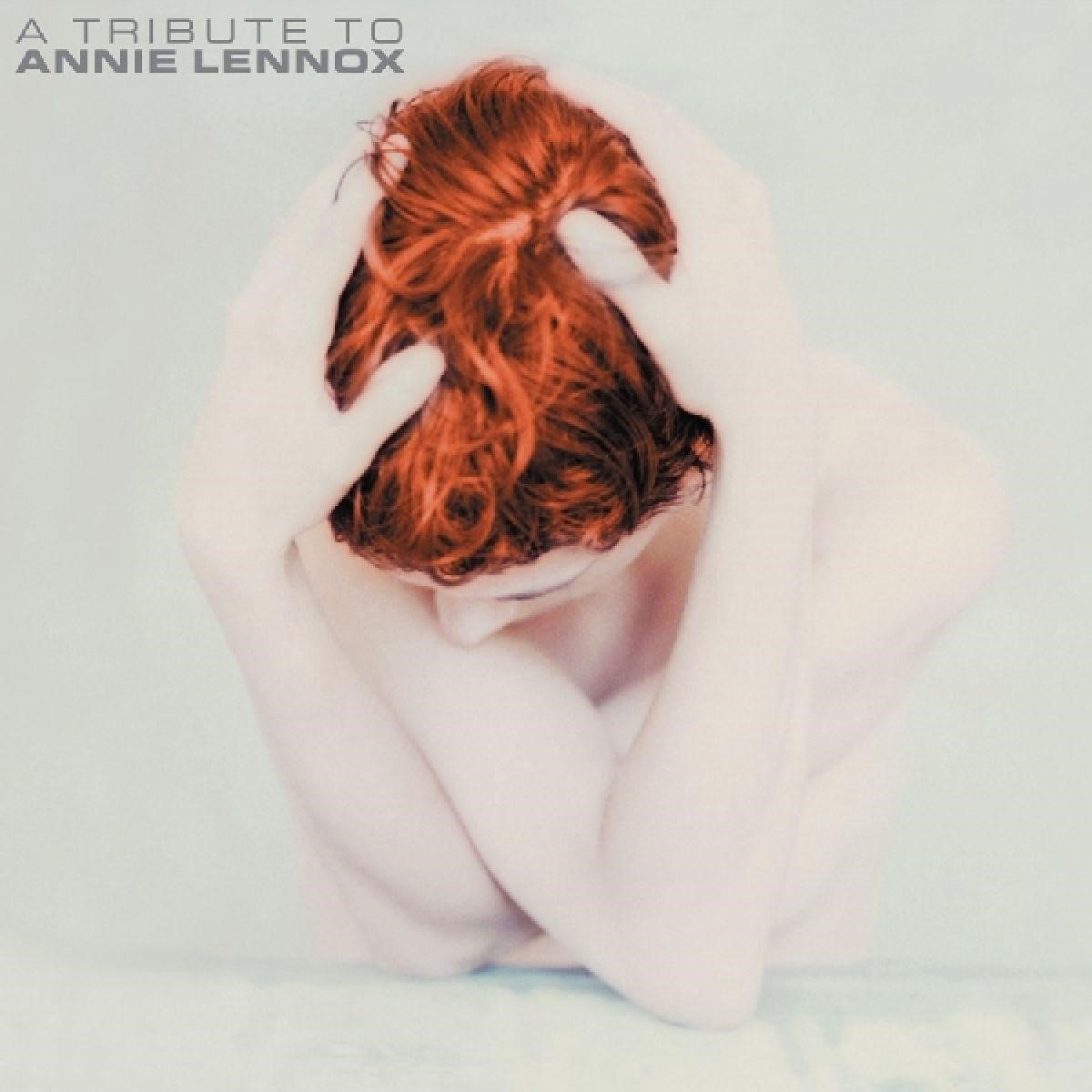 Various Artists - Tribute To Annie Lennox (CD)