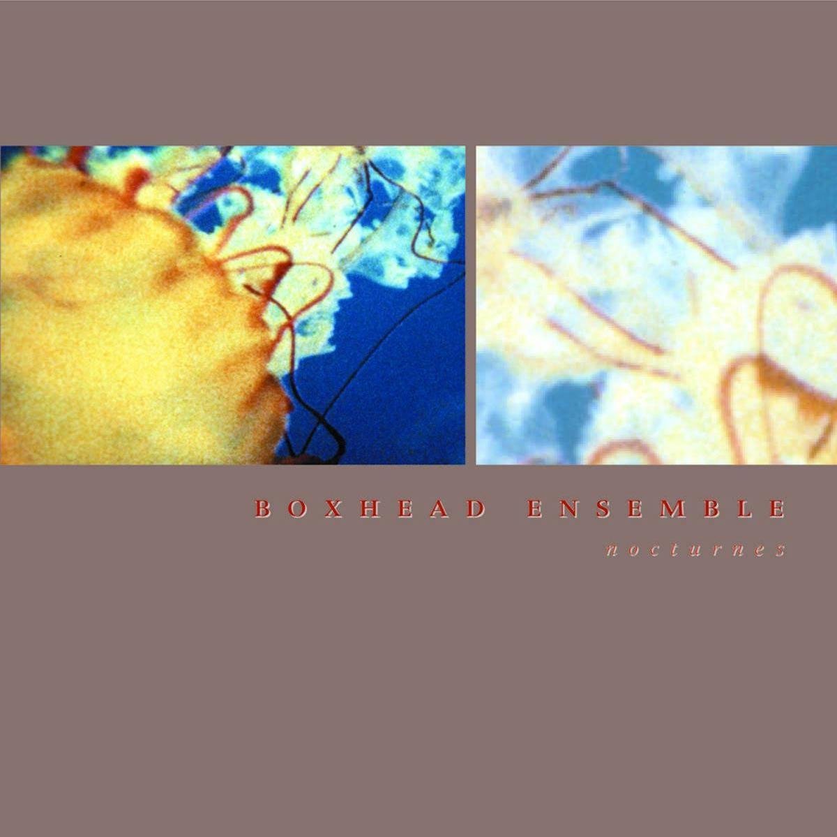 Boxhead Ensemble - Nocturnes (CD)