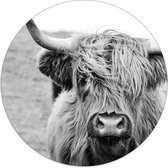 Label2X Muurcirkel cow - Ø 120 cm - Forex