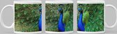 Mok met dieren of vogels - PAUW - Peacock - cadeau tip - mooie afbeelding met pauweveren - beker 330 ml
