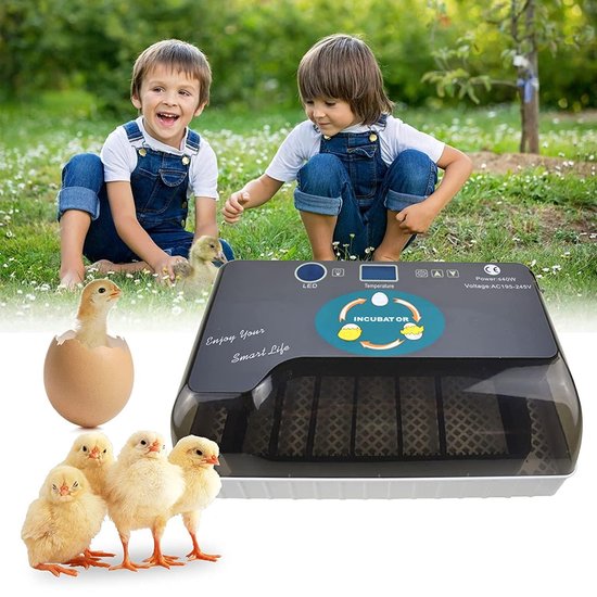 Automatische Broedmachine Voor Eieren Met Warmteplaat Incubator met Luxe Hygrometer - Tot 60 Eieren - Merkloos