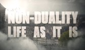 NON-DUALITY "Life as it is" - DvD