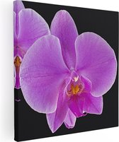 Artaza Canvas Schilderij Licht Paarse Orchidee - Bloem - 90x90 - Groot - Foto Op Canvas - Canvas Print