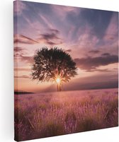 Artaza Canvas Schilderij Bloemenveld Met Lavendel Bij Zonsondergang - 30x30 - Foto Op Canvas - Canvas Print