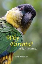 Why Parrots?