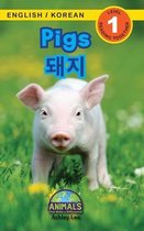 Pigs / 돼지