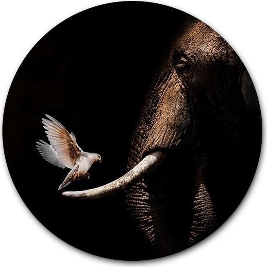Tuincirkel Olifant met duif - WallCatcher | Tuinposter rond | Buiten muurcirkel Elephant with Pigeon