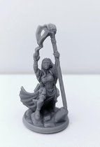 3D Printed Miniature - Mage Female 01 - Dungeons & Dragons - Hero of the Realm KS