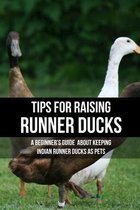 Tips For Raising Runner Ducks: A Beginner'S Guide About Keeping Indian Runner Ducks As Pets
