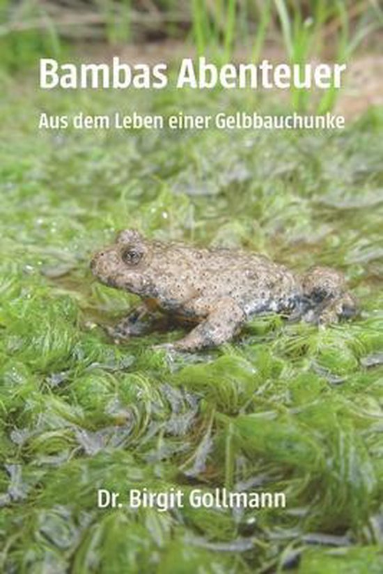 Bambas Abenteuer - cover