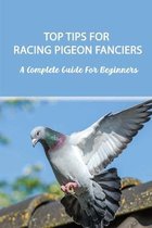 Top Tips for Racing Pigeon Fanciers: A Complete Guide For Beginners