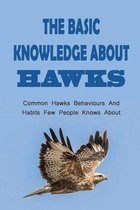 The Basic Knowledge About Hawks: Common Hawks Behaviours And Habits Few People Knows About