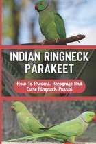 Indian Ringneck Parakeet: How To Prevent, Recognize And Cure Ringneck Parrot