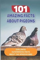 101 Amazing Facts About Pigeons: Exploring Outstanding Facts About The Amazing Bird