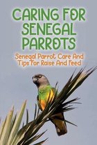 Caring For Senegal Parrots: Senegal Parrot Care And Tips For Raise And Feed