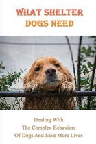 What Shelter Dogs Need: Dealing With The Complex Behaviors Of Dogs And Save More Lives