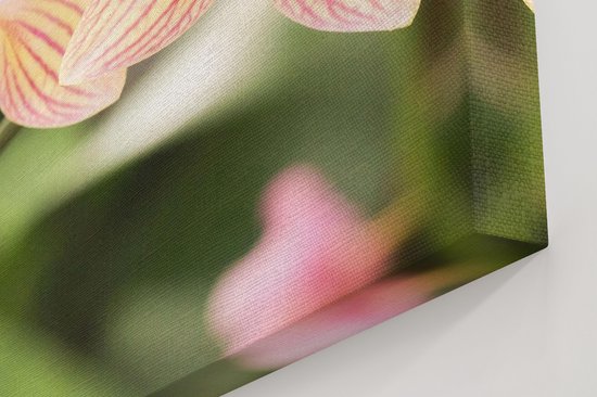 Artaza - Peinture sur Toile - Fleurs d'Orchidées Witte Rayées - 40x40 - Klein - Photo sur Toile - Impression sur Toile